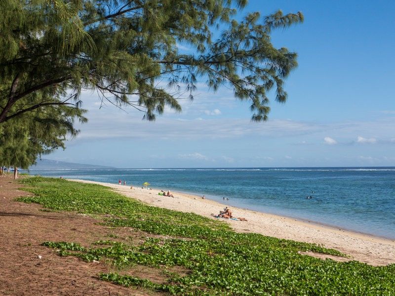 Le Nautile Beachfront Saint-Gilles-les Bains Εξωτερικό φωτογραφία