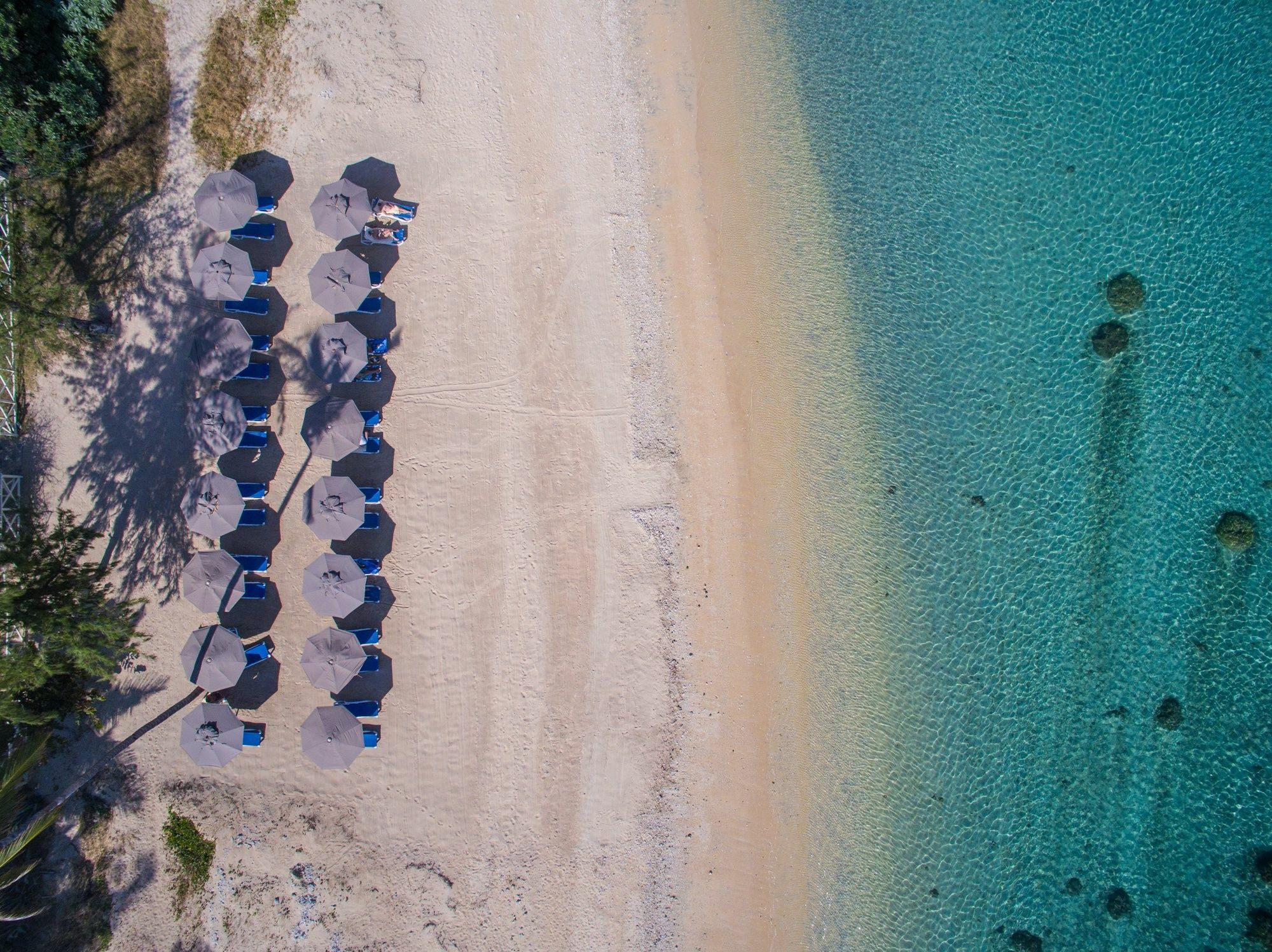 Le Nautile Beachfront Saint-Gilles-les Bains Εξωτερικό φωτογραφία